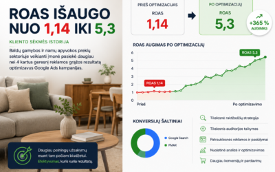 Kaip Google Ads ROAS išaugo nuo 1,14 iki 5,3: kliento sėkmės istorija